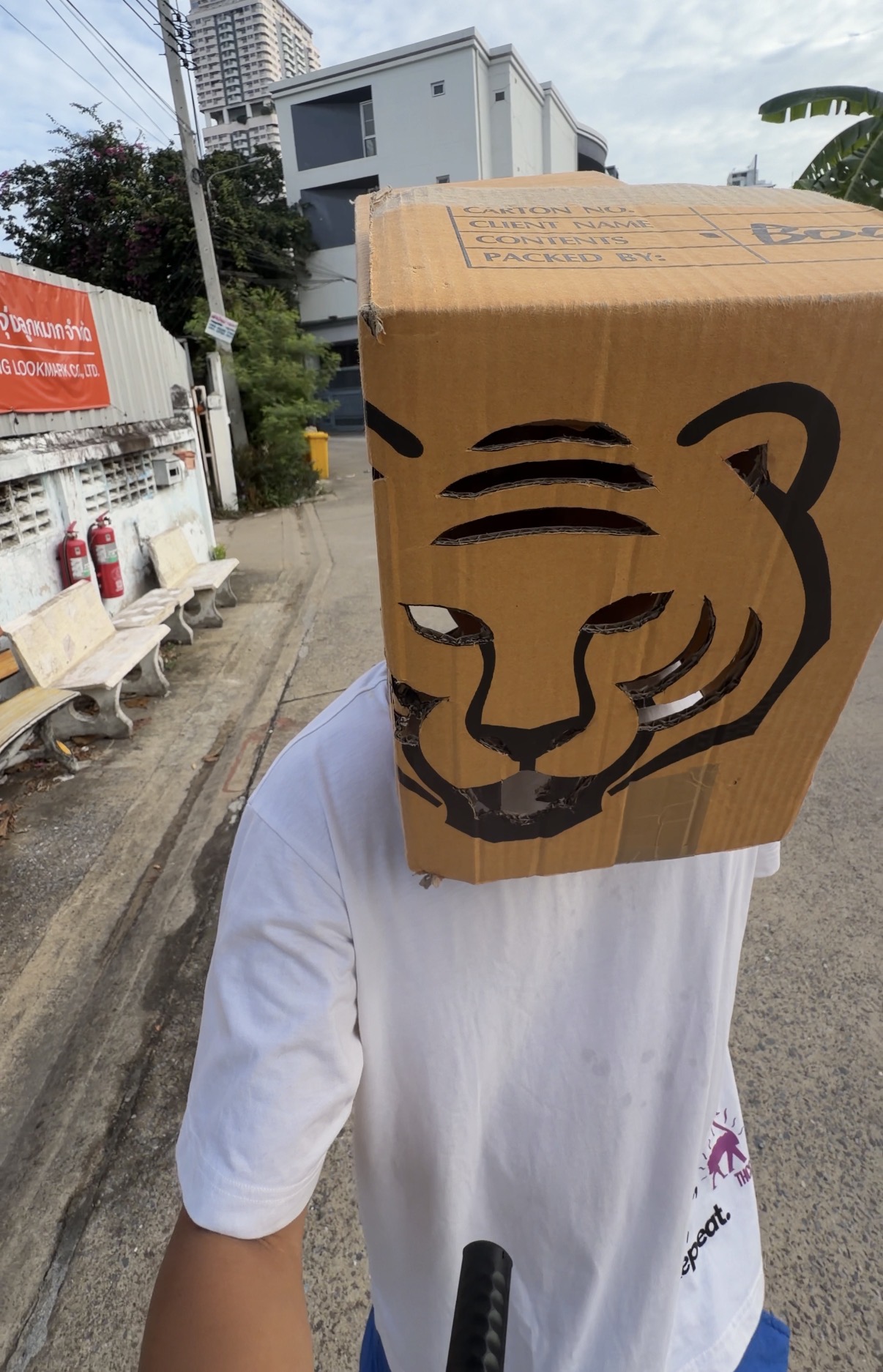 街を歩く、段ボールのトラのお面を被ったNori